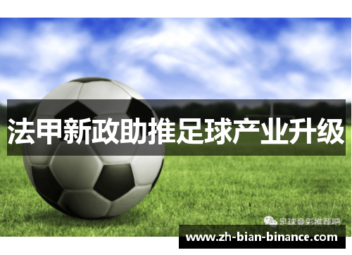 法甲新政助推足球产业升级 法甲新政助推足球产业升级